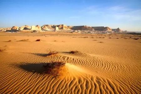 Desert Attractions